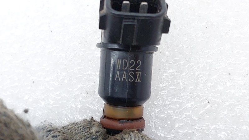 AP-0012894283 AP-0012894283