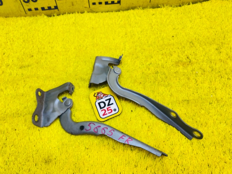 Петля капота передняя Toyota Premio ZRT265 2ZRFE 5665 5341020360