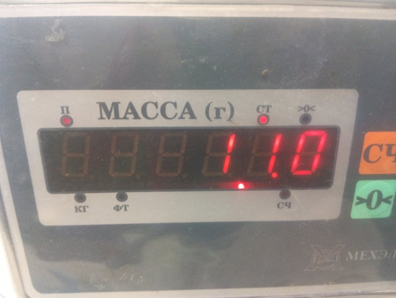 Торпедо