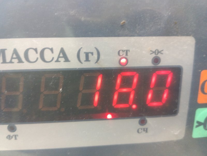 Торпедо